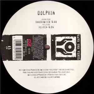 Dolphin - Under Water