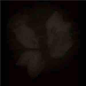 Erinome - Transfigured