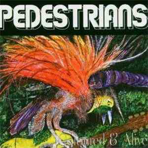 Pedestrians  - Coloured & Alive