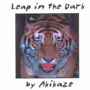 Akikaze - Leap In The Dark