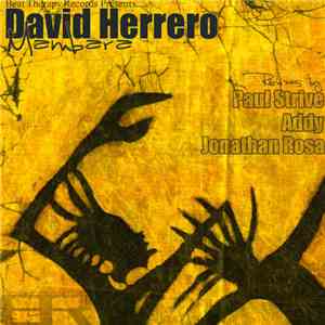 David Herrero - BTR Pres: Mambara (The Remixes)