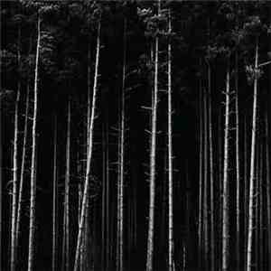 Husere Grav - Separation