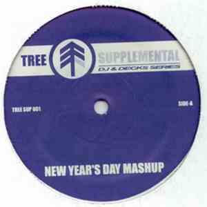 DJ Icey - New Year's Day Mashup