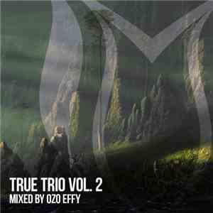 Various - True Trio Vol. 2 (Mixed By Ozo Effy)