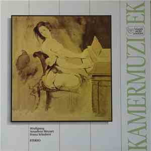 Wolfgang Amadeus Mozart / Franz Schubert - Kamermuziek