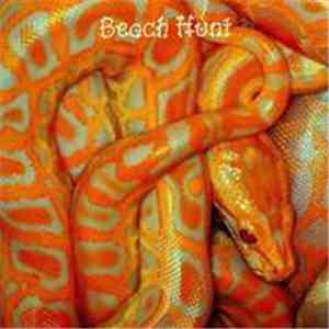 Beach Hunt - Copper Serpent