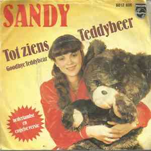Sandy - Tot Ziens Teddybeer