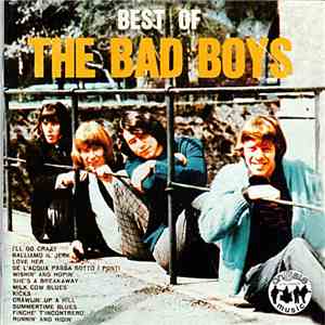 The Bad Boys  - Best Of