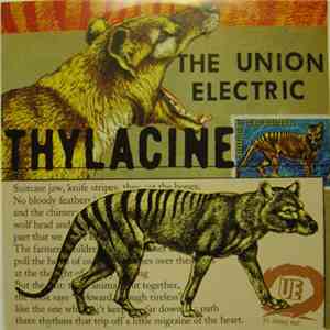 The Union Electric - Thylacine/Bugs
