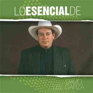 David Lee Garza - Lo Esencial De