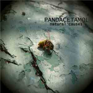 Pandacetamol - Natural Causes