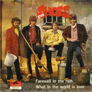 The Shoes - Farewell In The Rain