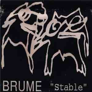 Brume - Stable