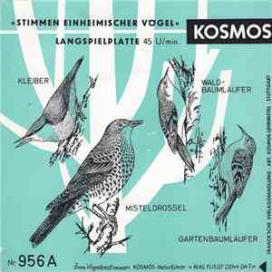 Dr. G. Thielcke & C. Fentzloff - Stimmen Einheimischer Vögel