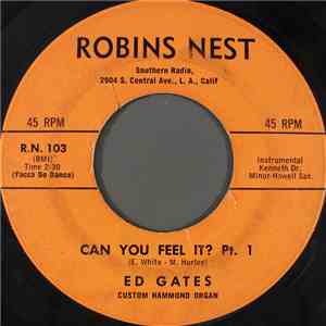 Ed Gates - Can You Feel It?