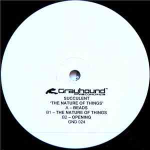 Succulent - The Nature Of Things