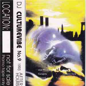DJ Culturevibe - 1993 After Hours #09