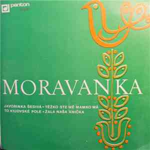 Moravanka - Javorinka Šedivá