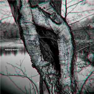 Natura Morta  - I