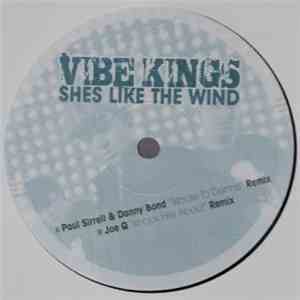 Vibe Kings - Shes Like The Wind