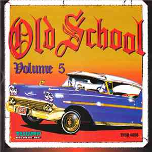 Various - Old School Volume 5