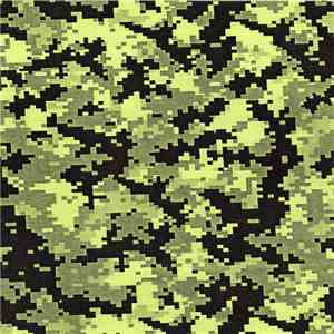 Camo  - Demo 1