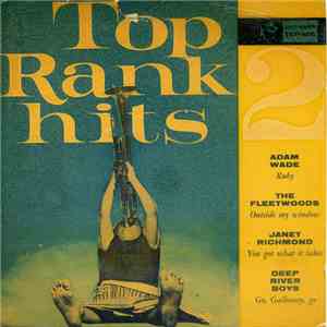 Various - Top Rank Hits 2
