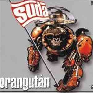 Suda - Orangután