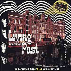 Various - Living In The Past (19 Forgotten NederBiet Gems 1964-'67)