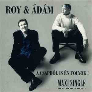 Roy & Ádám - A Csapból Is Én Folyok!