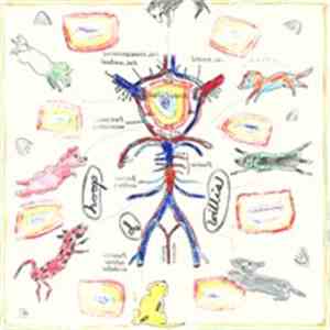 The Vitamin B12 - Sketchbook & Alvin's Sax
