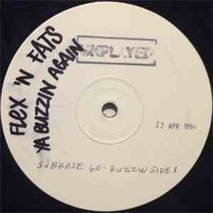 Flex N Fats - Somebody / Ya Buzzin' Again