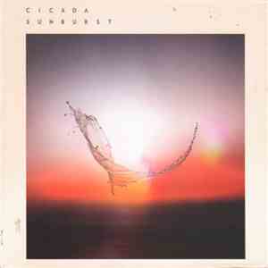 Cicada - Sunburst
