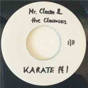 Mr. Clean And The Cleansers - Karate