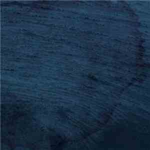 Multicast Dynamics - Aquatic System