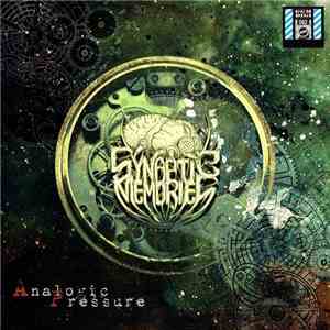 Synaptic Memories - Analogic Pressure