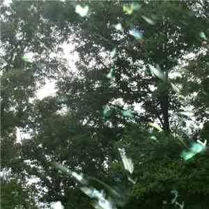 teeth made of glass - an important phrase repeated a few times for good mea ...