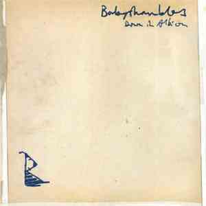 Babyshambles - Down In Albion
