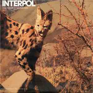 Interpol - The Heinrich Maneuver