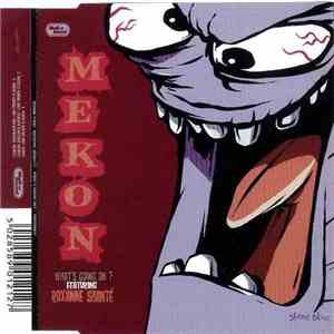 Mekon Featuring Roxanne Shanté - What's Going On?