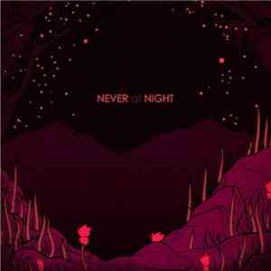Never At Night - Never At Night