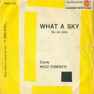 Nico Fidenco - What A Sky (Su Nel Cielo)