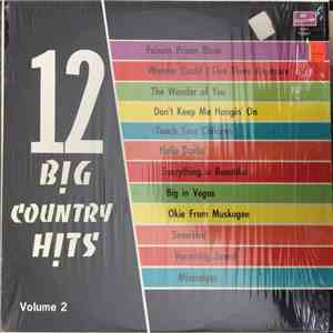 Various - 12 Big Country Hits Volume 2