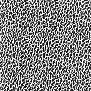 Voltique - Forward Naked