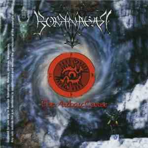 Borknagar - The Archaic Course