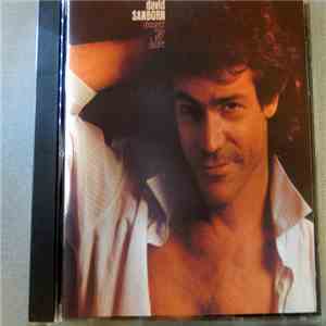 David Sanborn - Straight To The Heart
