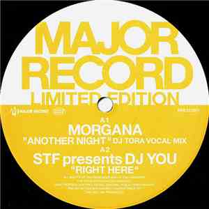 Morgana / S.T.F.  / DJ You / DJ Kaya - Another Night / Right Here / Friends ...