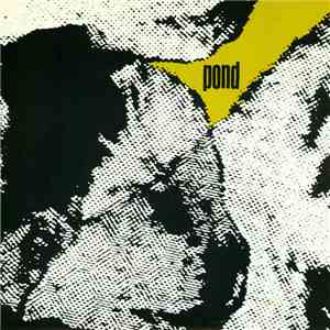 Pond - Glass Sparkles In Their Hair Sundial