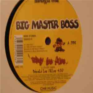 Big Master Boss - Désolé Les Filles
