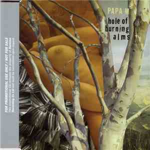 Papa M - Hole Of Burning Alms